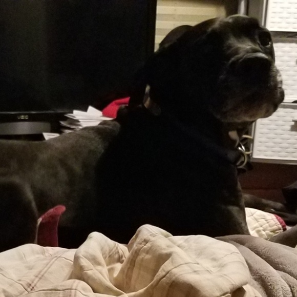 Meet your Posher, Melissa - Picture 2 of 2